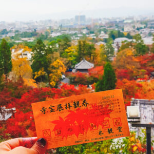 오사카 교토 단풍 명소 에이칸도 젠린지 풍경